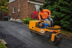 Best Driveway Pressure Washing  in Lamont, MI